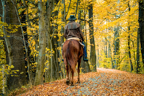 poranna przejażdżka konna alejką leśną jesienią
