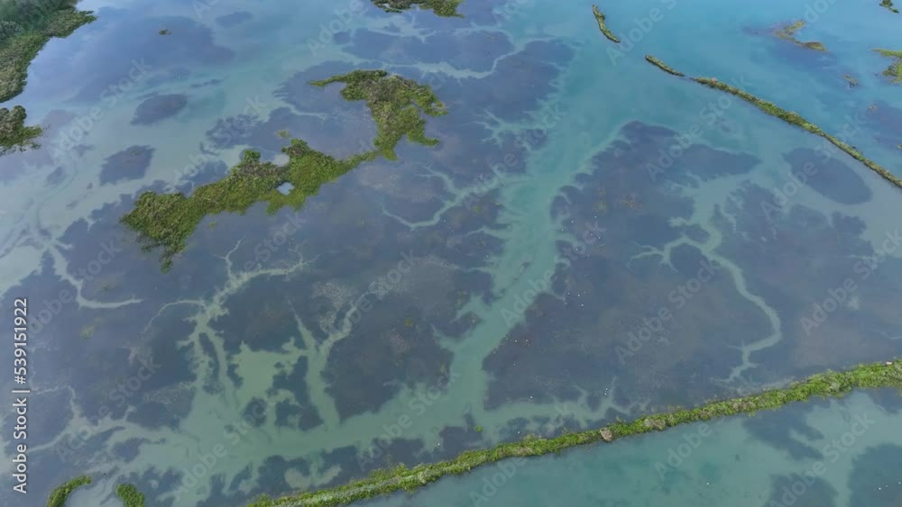 Aerial view from a drone of the marsh in the surroundings of Molino de Cerroja in the town of Escalante. Natural Park of the Marshes of Santoña, Victoria, Noja and Joyel. Cantabrian Sea. Cantabria. Sp Aerial view from a drone of the marsh in the surroundings of Molino de Cerroja in the town of Escalante. Natural Park of the Marshes of Santoña, Victoria, Noja and Joyel. Cantabrian Sea. Cantabria. Sp