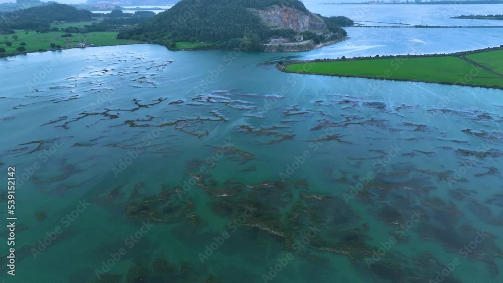 Aerial view from a drone of the marsh in the surroundings of Molino de Cerroja in the town of Escalante. Natural Park of the Marshes of Santoña, Victoria, Noja and Joyel. Cantabrian Sea. Cantabria. Sp Aerial view from a drone of the marsh in the surroundings of Molino de Cerroja in the town of Escalante. Natural Park of the Marshes of Santoña, Victoria, Noja and Joyel. Cantabrian Sea. Cantabria. Sp