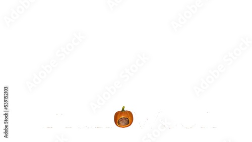 Cat head in pumpkin head drop down then appear work halooween with fire.  