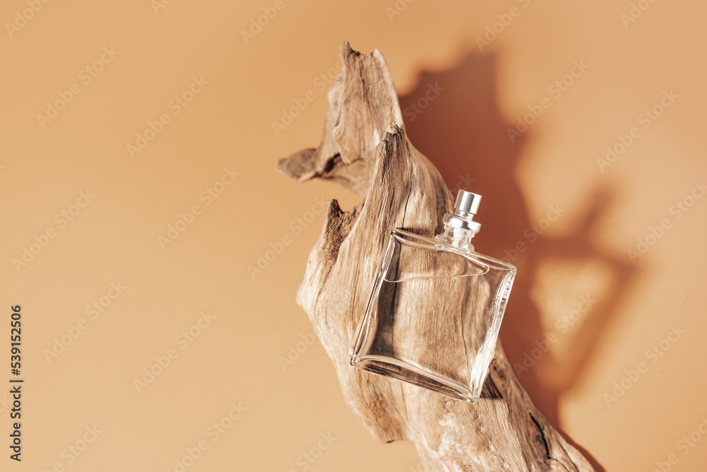 Perfume with woody notes concept with transparent perfume bottle lying near the aged weathered wooden snag. - obrazy, fototapety, plakaty 