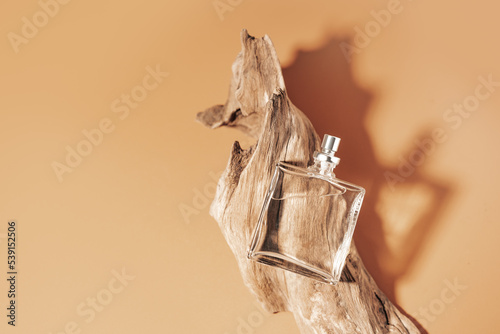 Perfume with woody notes concept with transparent perfume bottle lying near the aged weathered wooden snag. photo