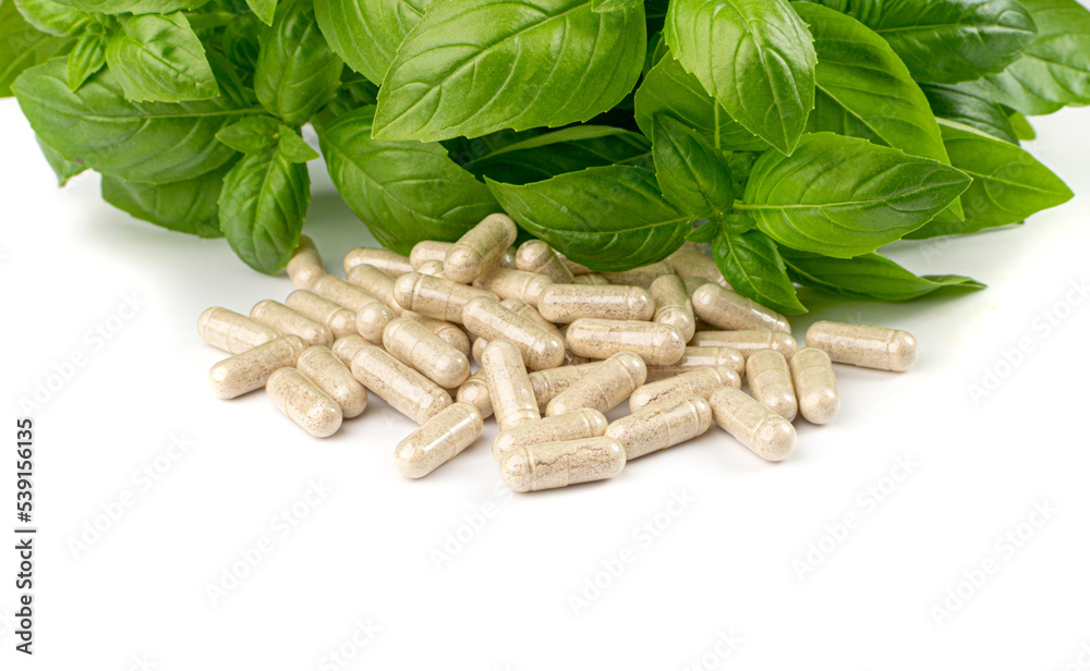 Holy Basil Capsules, Basilic Pills and Fresh Leaves, Natural Medical Diet Supplement Holy Basil Capsules, Basilic Pills and Fresh Leaves, Natural Medical Diet Supplement