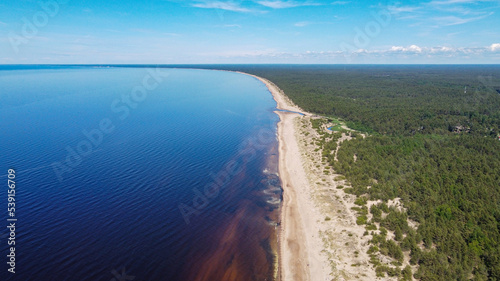 Fototapeta Naklejka Na Ścianę i Meble -  Baltic sea beach, Latvia, drone photo