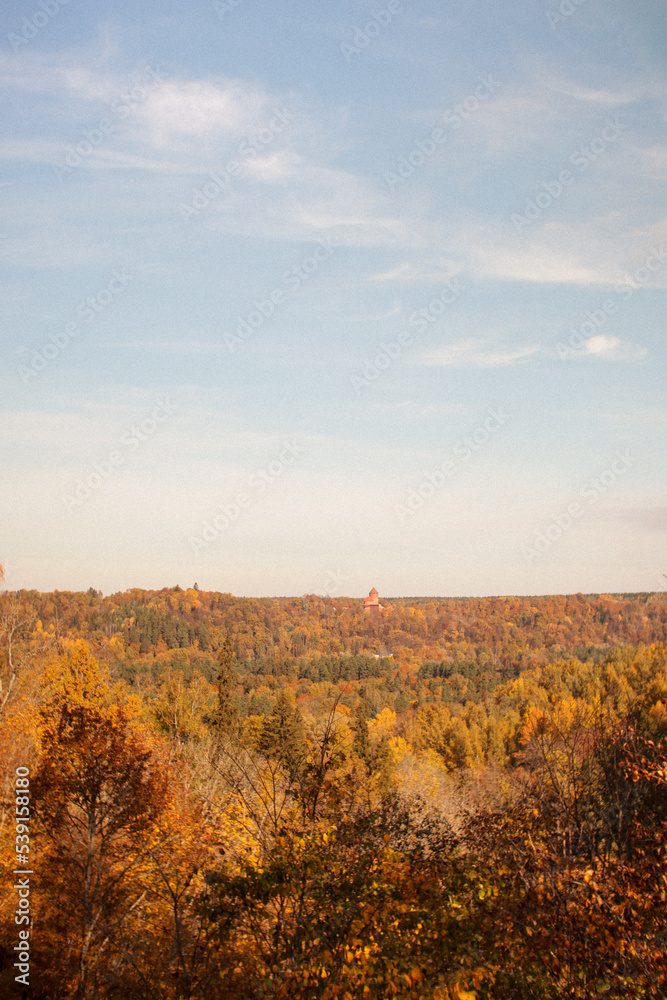 Autumn forest, colorfull trees, hills, Sigulda, Latvia