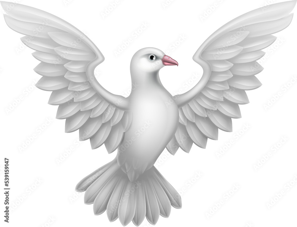 Obraz premium White Dove Concept