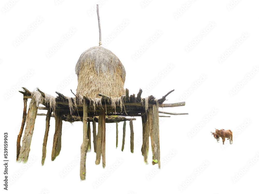 Fototapeta premium Paddy straw kept for animals in the field