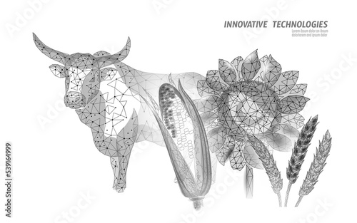 3D wheat ears corn sunflower grain meat beef . World food Day hunger awareness. Help charity food help global international refugees vector illustration