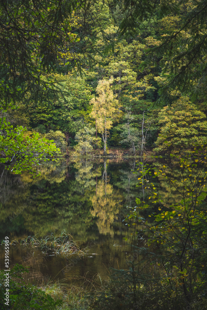 Obraz premium loch ard, scotland