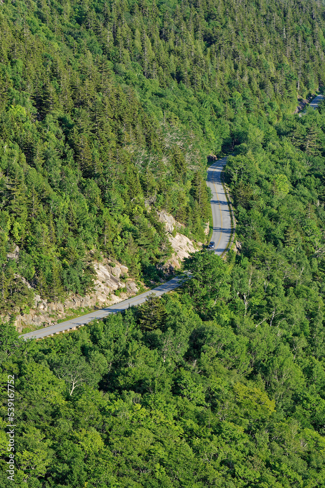 Fototapeta premium road in the acadia national park