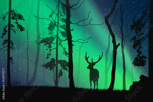 Lonely deer in misty forest. Animal silhouette. Green aurora borealis © arvitalya