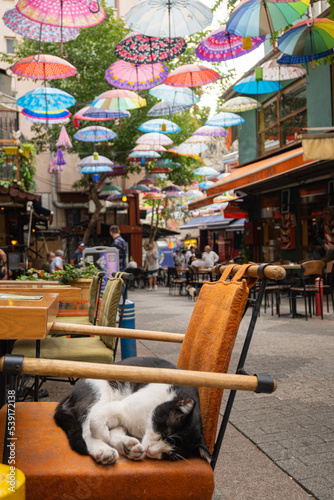 Cat sitting on a chair on the streets of Kadikoy in Instanbul photo