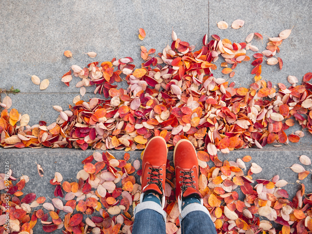 Top view on feet in red leather shoes. Woman is standing on stone street steps with bright red fallen leaves. Modern urban fashion at fall season.
