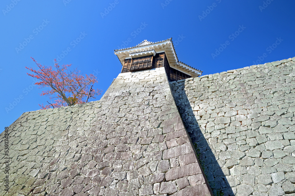 松山城石垣と隠門続櫓
