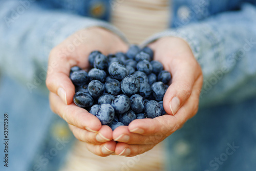 A handful of ripe blueberries in the hands, close-up. Summer organic berries.