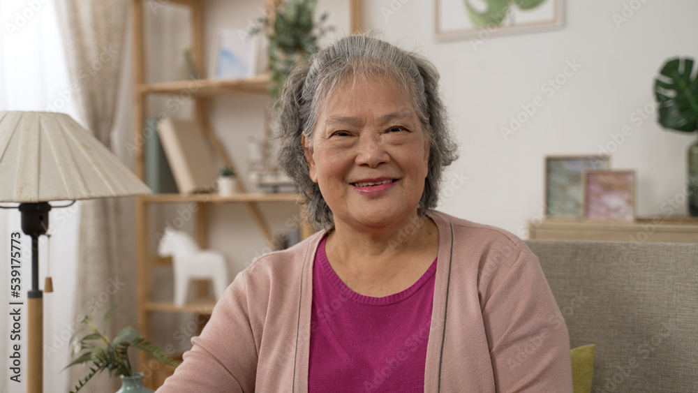 shoulder shot portrait of an elegant asian senior lady with grey hair looking and smiling at the camera in a modern home living room interior. shoulder shot portrait of an elegant asian senior lady with grey hair looking and smiling at the camera in a modern home living room interior.