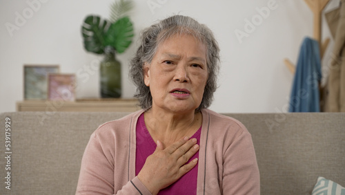 webcam view of an asian Japanese senior female patient waving hi and telling online doctor about her head and heart disease while having virtual consultation at home © PRPicturesProduction