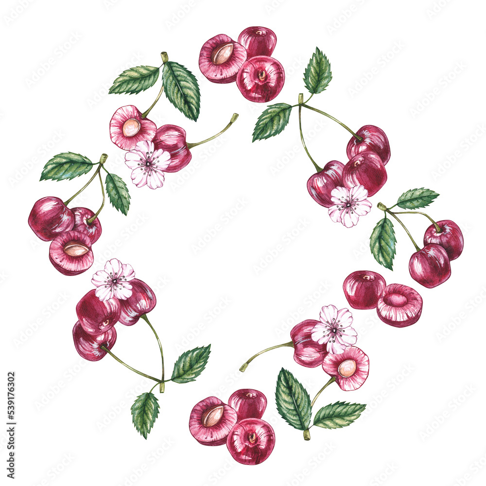 Watercolor cherry frame on a white background Watercolor cherry frame on a white background