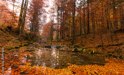 Fototapeta Naklejka Na Ścianę i Meble -  Szepit waterfall on the Hylaty stream. Autumn in the Bieszczady Mountains against the background of a beech forest.