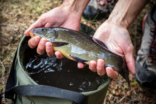 pêche poisson