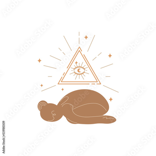 Slim sportive young woman doing yoga, and fitness exercises. Healthy lifestyle. Isolated on white background minimal.