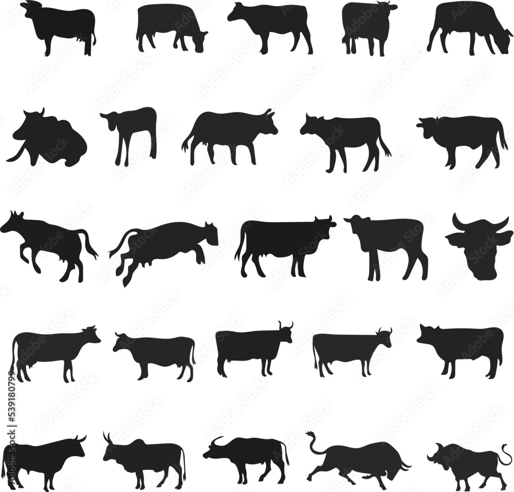 Cow Silhouette Bundle Cow Silhouette Bundle