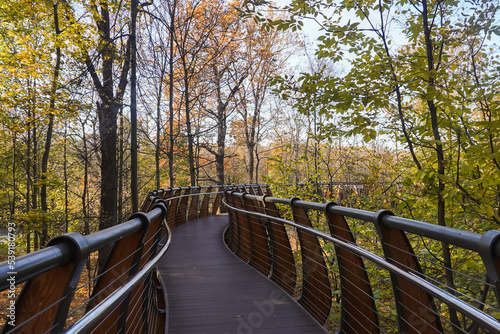 Wooden walkway, eco path in the air among trees in an autumn park