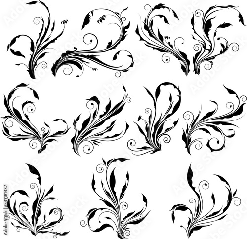 Fotografia Collection of curl floral vector graphic with spiral leaves