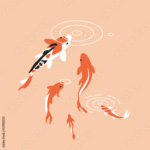 Japanese koi fish in pond. Hand drawn modern style vector illustration. Asian carp drawing