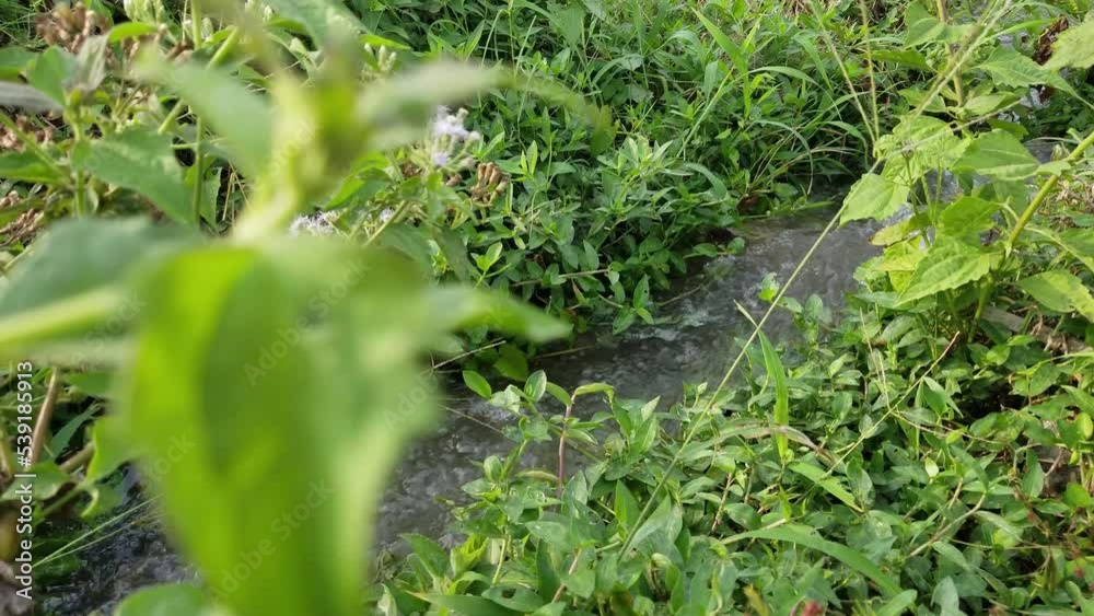 Water flow in the ditch near the field Water flow in the ditch near the field