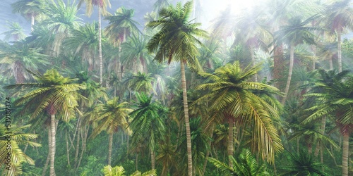 Jungle  beautiful rainforest in the fog  palm trees in the haze  jungle in the morning in the fog  3D rendering