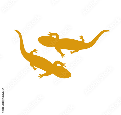 salamander icon. Trendy flat vector salamander icon on white background from animals collection  vector illustration can be use for web and mobile  