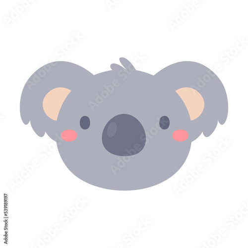 Photography cartoon koala face cute pets for kids