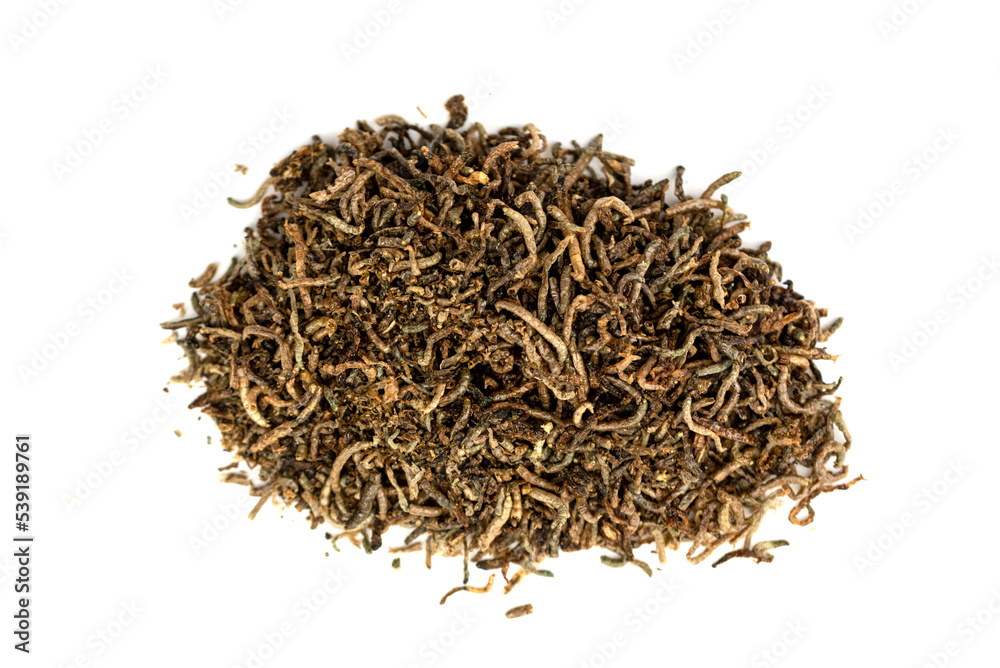 close up dried ant larvae - fish food close up dried ant larvae - fish food