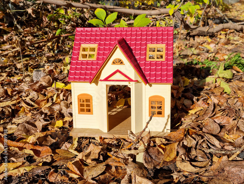 Model house on dry grass and autumn leaves with sunlight background. House symbol on autumn background.