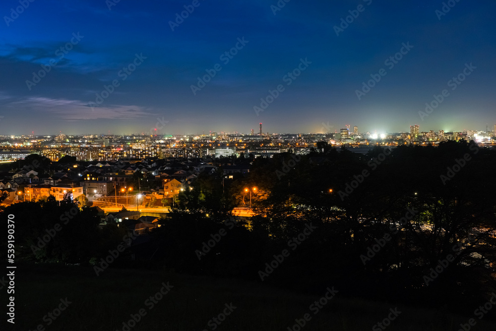 Fototapeta premium 東京都多摩市 聖蹟桜ヶ丘、桜ヶ丘公園、ゆうひの丘からの夜景