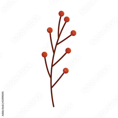 berries branch icon