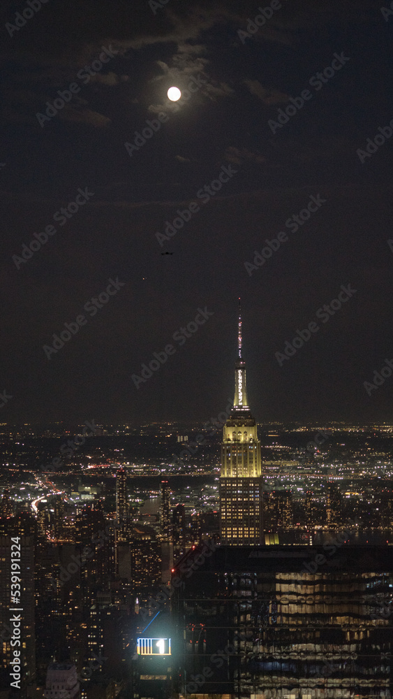 Manhattan at Night 8