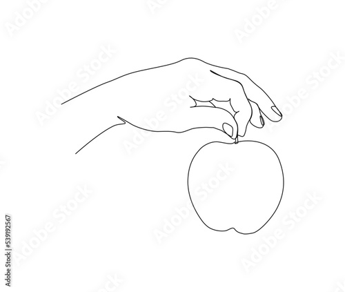 Continuous one line drawing of hand holding apple fruit. Minimalist apple fruit on hand line art vector design.