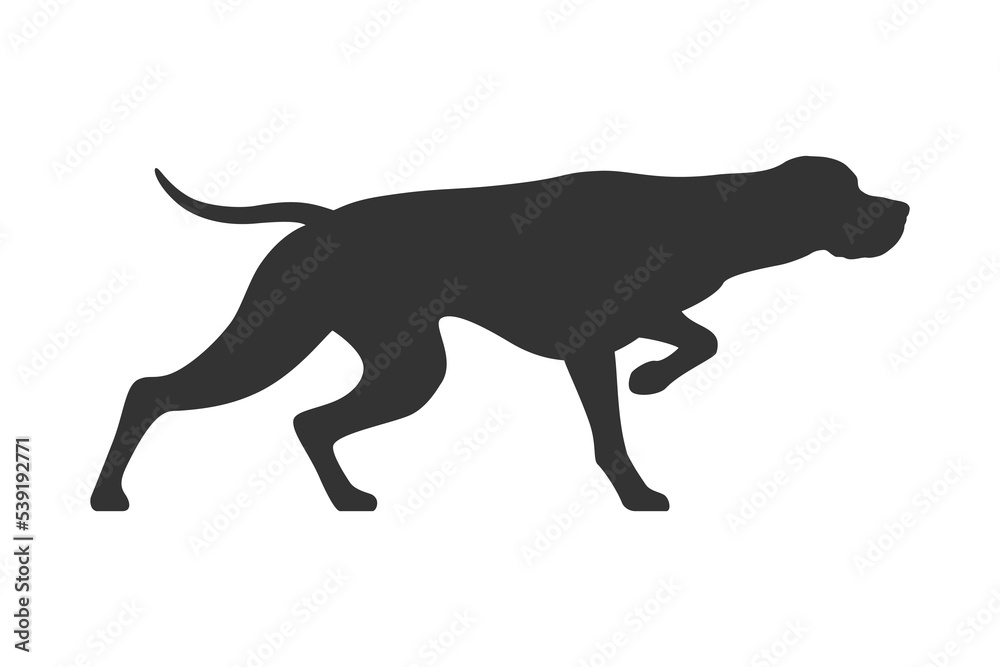 Pointer dog graphic icon . Hunters dog sign isolated white background. Vector illustration
