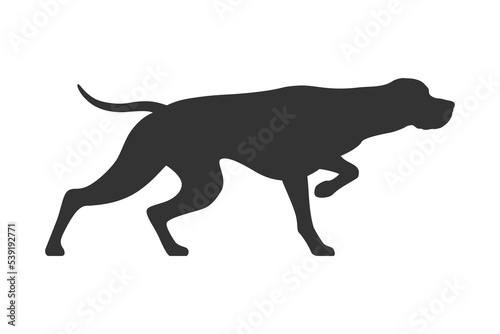 Pointer dog graphic icon . Hunters dog sign isolated white background. Vector illustration