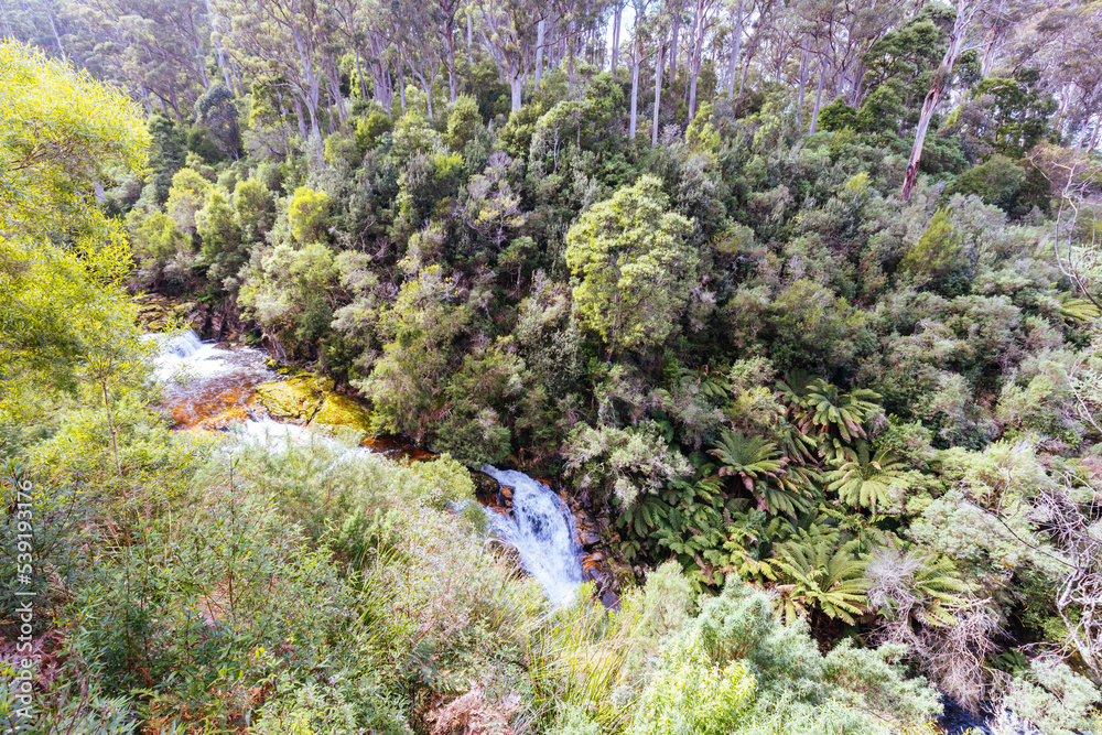 Halls Falls in Pyengana Tasmania Australia