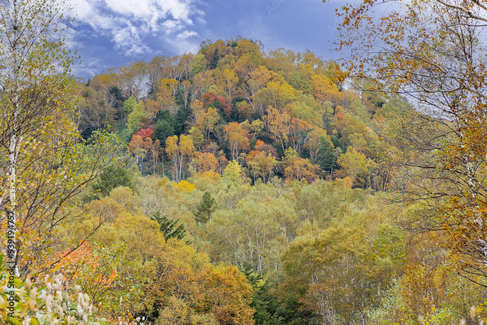 Fototapeta premium 秋の高原の風景 志賀高原の紅葉