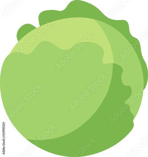 Hand drawn cabbage Food icon. Vector illustration