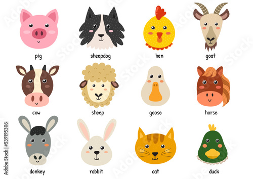 Fototapeta Naklejka Na Ścianę i Meble -  Cute farm animal faces for baby and children design. Funny heads of farm characters. Pig, hen, goat, cow, sheep and others. Vector illustration