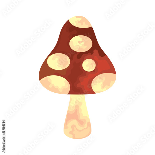 fungus icon image