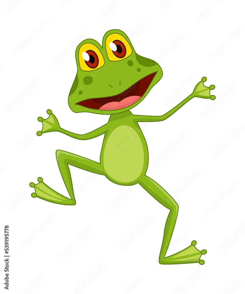 Fototapeta premium Cartoon frogs Funny cartoon frog. Little amphibia character standing and smiling on white background. Adorable froggy watching