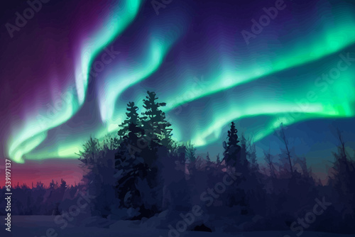 the aurora northern lights flicker in the winter night.