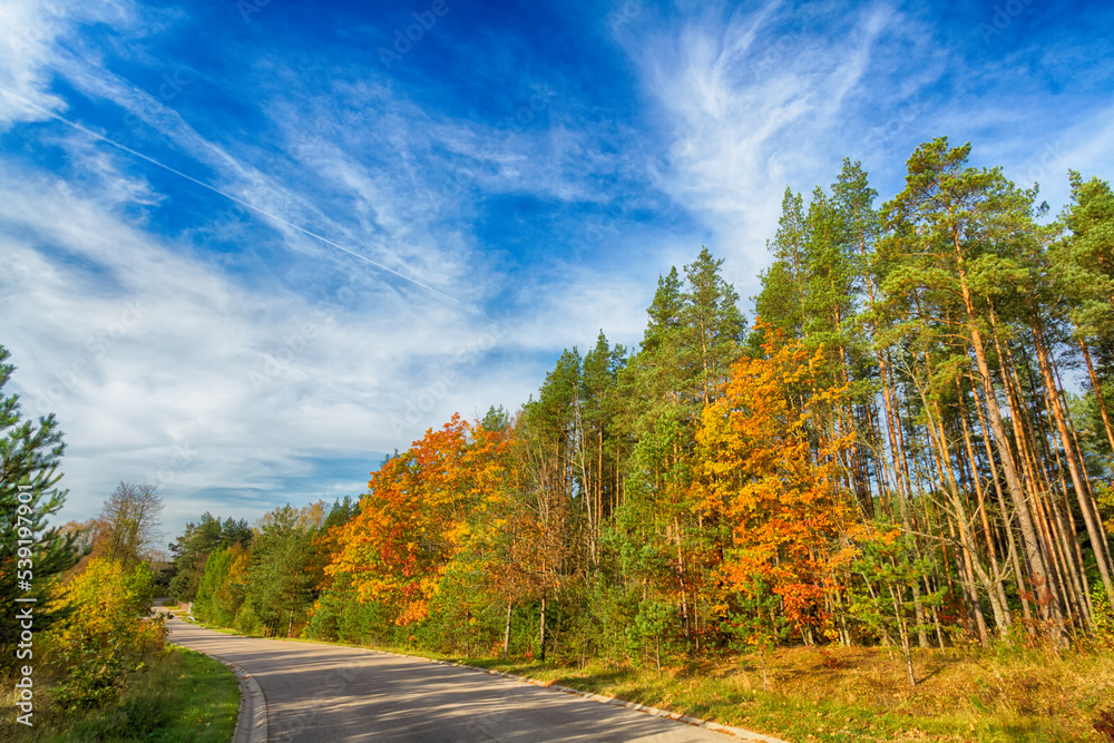 Landscape autumn road with colourful trees, autumn Poland, Europe and amazing blue sky with clouds, sunny day