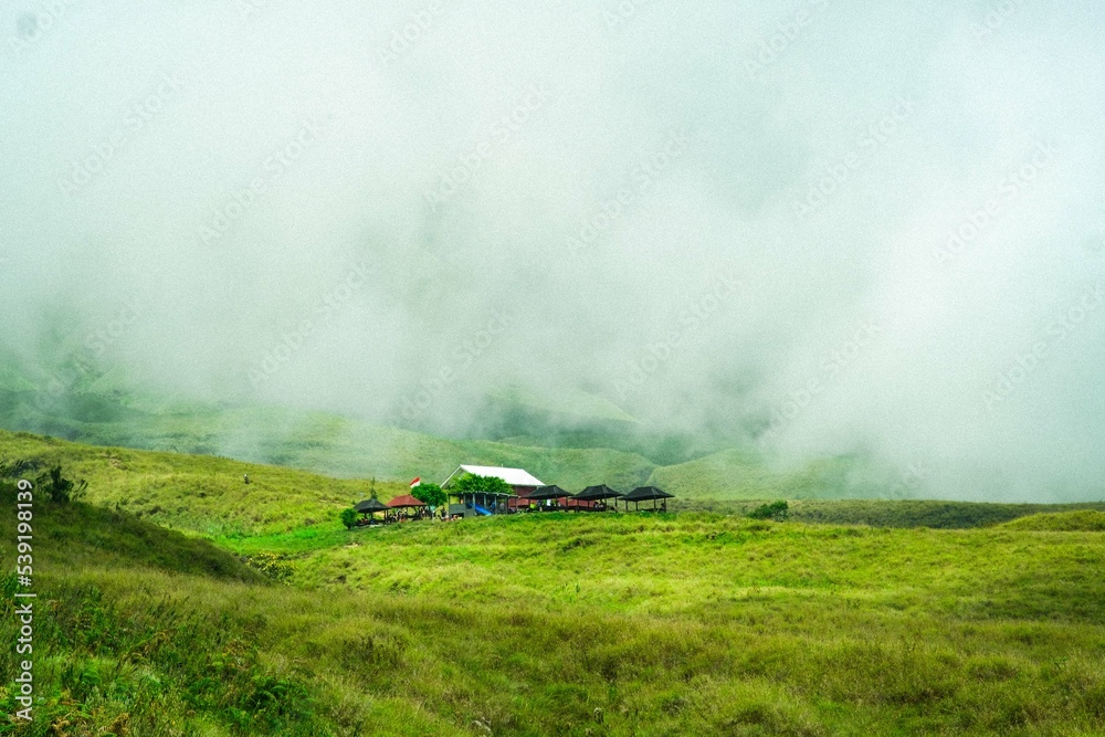 Fototapeta premium sprinkler in field